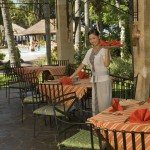 Terras2